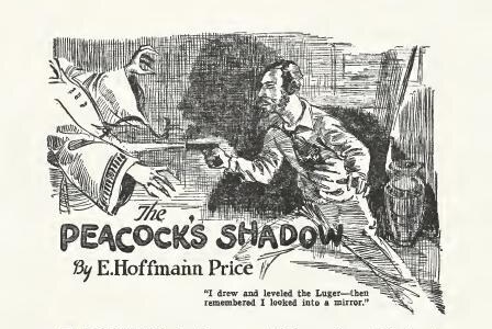 Interior for “The Peacock’s Shadow.” Weird Tales, November 1926. Art by Harold S. DeLay.